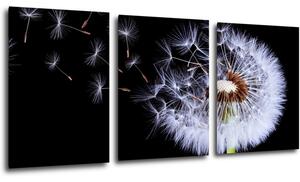 Impresi Tablou Dandelion black and green - 150 x 70 cm (3-piese)