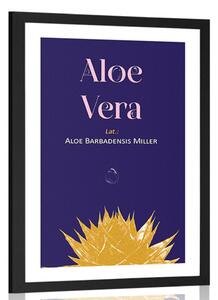 Poster cu passepartout și inscripția Aloe Vera