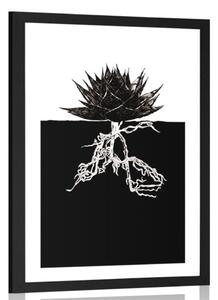 Poster cu passepartout nemurirea plantelor