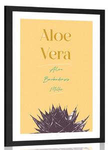 Poster cu passepartout și cu inscripție elegantă Aloe Vera