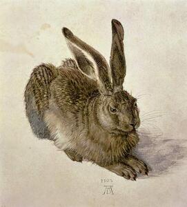 Albrecht Dürer - Artă imprimată Hare, 1502, (35 x 40 cm)