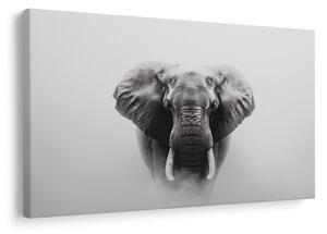 Tablou elefant măreț în ceață