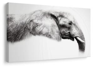 Tablou profil elegant de elefant