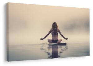 Tablou meditație în ceață