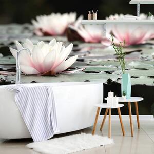 Fototapet floare de lotus