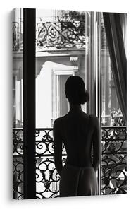 Tablou siluetă la fereastră