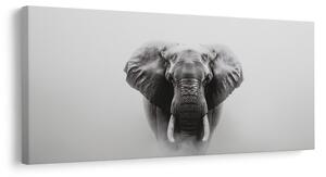 Tablou portret alb-negru de elefant