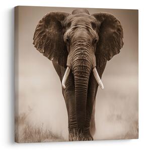 Tablou elefant african în ceață