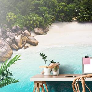 Fototapet coastă Seychelles