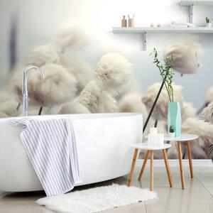 Fototapet flori de bumbac arctice