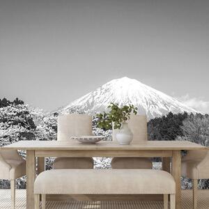 Fototapet muntele Fuji în alb-negru