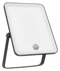 Ledvance - Proiector LED de exterior montat pe perete cu senzor FLOODLIGHT LED/30W/230V IP65