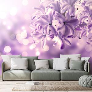 Tapet floare violetă de liliac