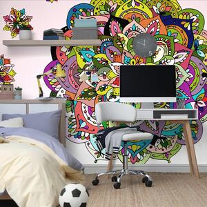 Tapet Mandala colorată