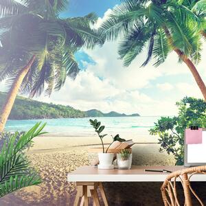 Fototapet apus de soare pe insula Seychelles