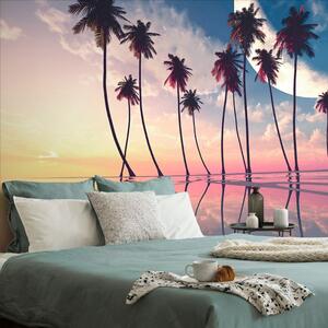 Tapet apusde soare deasupra palmierilor tropicali