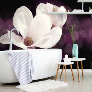Tapet floare de magnolie pe fundalul abstract