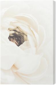 Tablou pe pânză White Flower, Studio Collection, 40 × 60 cm