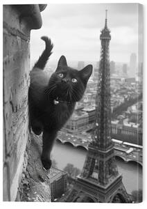 Tablou pe pânză Kitty in Paris, 50 × 70 cm