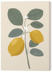 Tablou pe pânză Lemon flower, Katarzyna Gąsiorowska, 50 × 70 cm