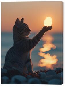 Tablou pe pânză Cat holding sun, 45 × 60 cm