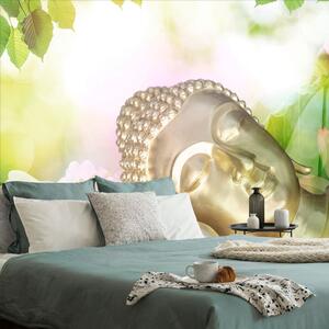 Tapet Buddha adormit