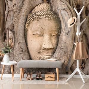 Fototapet Smochinul sacru al lui Buddha