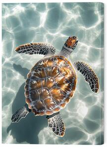 Tablou pe pânză Sea turtle gracefully gliding in clear turquoise waters, 50 × 70 cm