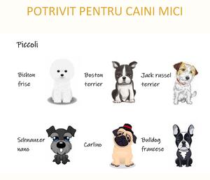 PawHut Culcuș Confortabil din Ratan PE pentru Animale de Talie Mică, Include Pernă Moale, Ideal pentru Interior | Aosom Romania