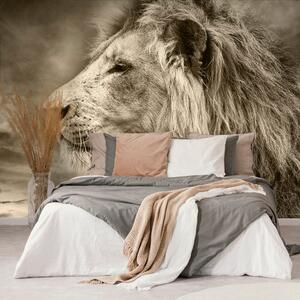 Tapet leul african în design sepia