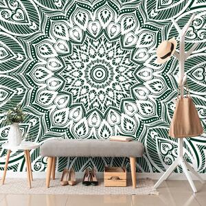 Tapet Mandala de armonie pe fundal verde