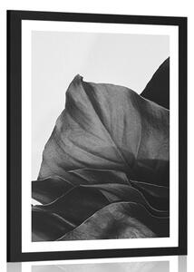 Poster cu passepartout frunză de monsteră încântătoare în design alb-negru