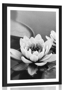 Poster cu passepartout floare de lotus în lac în design alb-negru