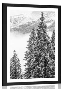 Poster cu passepartout copaci de pini înzăpeziți în design alb-negru