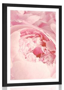 Poster cu passepartout petale de floare