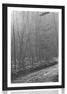 Poster cu passepartout potecă spre pădure în alb-negru
