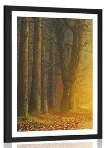 Poster cu passepartout drum în pădure