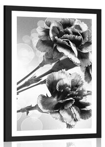 Poster cu passepartout floare de garoafă în design alb-negru