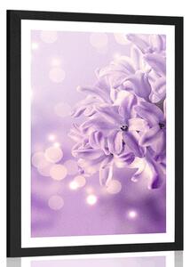 Poster cu passepartout floare de liliac violetă