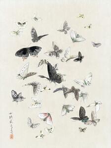 Artă imprimată Butterflies & Moths (1 of 2) - Katsushika Hokusai, (30 x 40 cm)