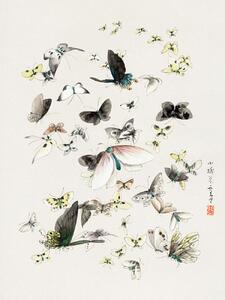 Reproducere Butterflies & Moths (2 of 2) - Katsushika Hokusai, (30 x 40 cm)