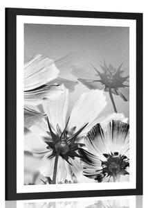 Poster cu passepartout flori de gradină în design alb-negru