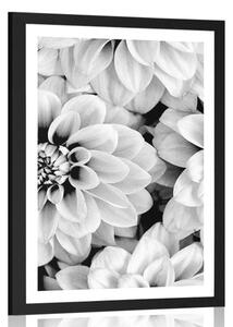 Poster cu passepartout flori de dalia în design alb-negru