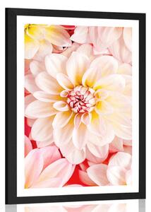 Poster cu passepartout flori de dalia pastelate