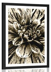 Poster cu passepartout dalie exotică în design sepia