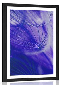 Poster cu passepartout păpădie frumoasă în design violet