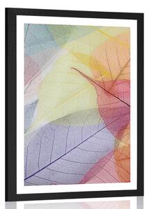 Poster cu passepartout vene pe frunze colorate