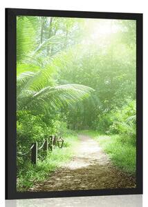 Poster drumuleț pe insula Seychelles