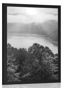 Poster râul în mijlocul pădurii în design alb-negru