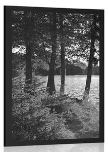Poster vedere la lac în design alb-negru